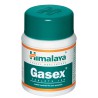 Gasex Himalaya - acts against hyperacidity, gas and indigestion