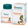 PUNARNAVA HIMALAYA - COMPREHENSIVE CONTROL OF URINARY TRACT INFECTION 