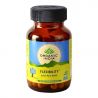 Flexibility Organic India - Effective formula for joint and muscle pains