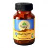BEAUTIFUL SKIN ORGANIC INDIA - CURES & BEAUTIFIES SKIN