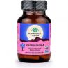 Ashwagandha Organic India - Biokräuter - Anti-Stress, reduziert chronische Überlastung