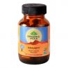 Immunity Organic India